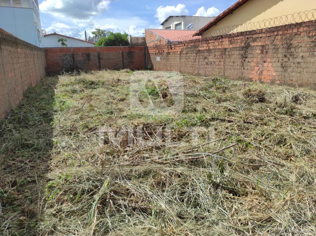 Terreno à venda com 1 quarto, 352m² - Foto 4