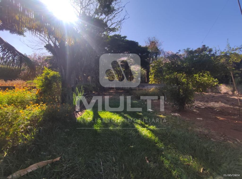 Chácara à venda com 3 quartos, 5000m² - Foto 35