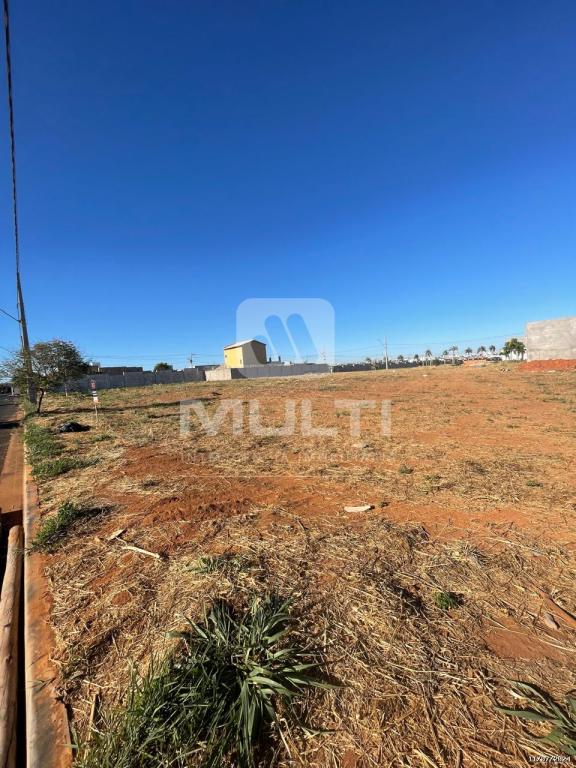 Terreno à venda com 1 quarto, 286m² - Foto 6