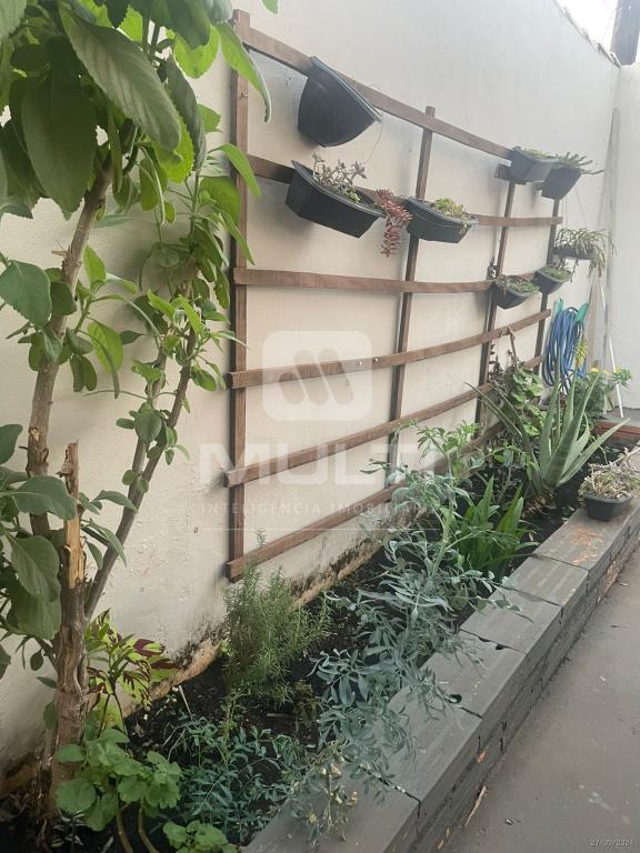 Casa, 6 quartos, 221 m² - Foto 29