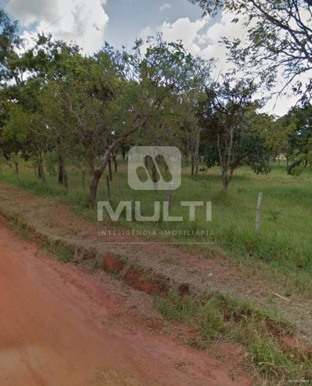 Chácara à venda com 1 quarto, 10000m² - Foto 1