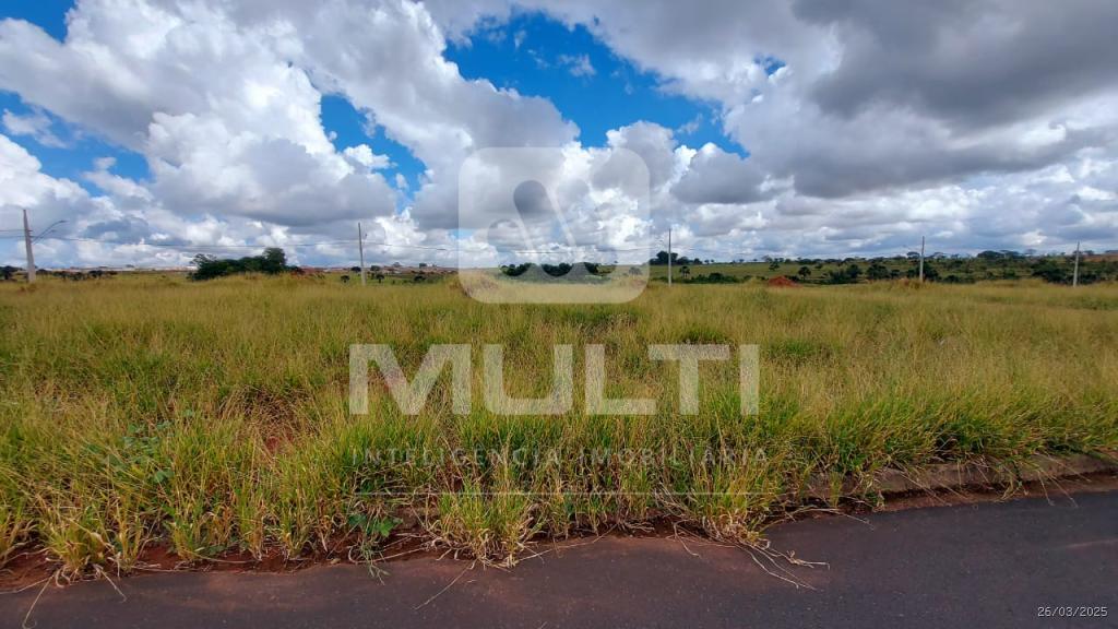 Terreno, 250 m² - Foto 1