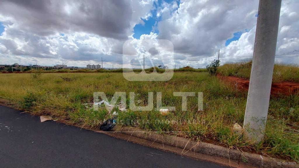 Terreno, 250 m² - Foto 3