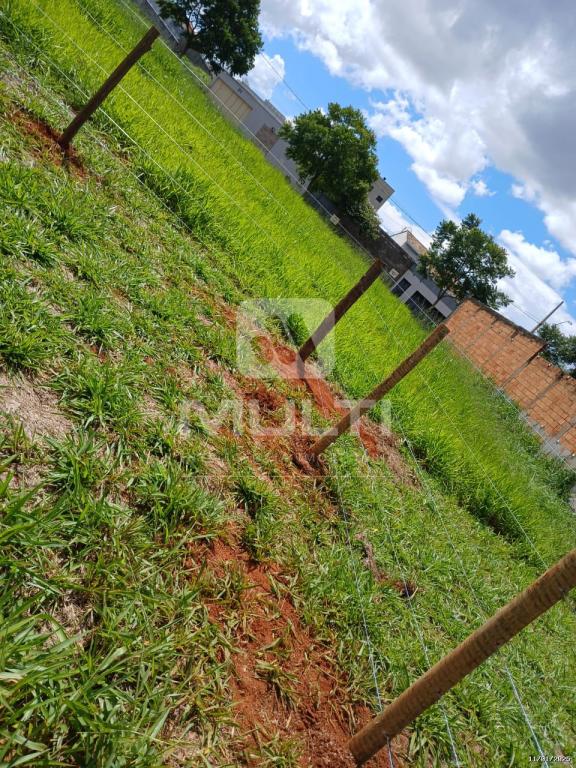 Terreno, 260 m² - Foto 7