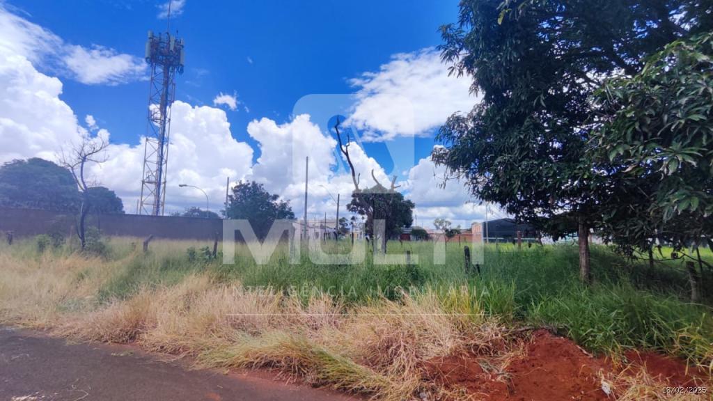 Chácara à venda com 3 quartos, 100m² - Foto 1