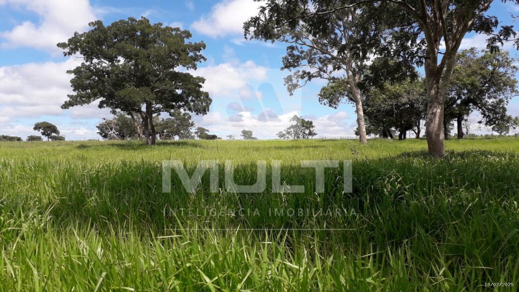 Chácara à venda com 1 quarto, 2500m² - Foto 1