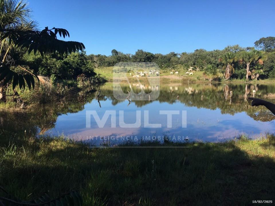 Chácara à venda com 1 quarto, 2500m² - Foto 3