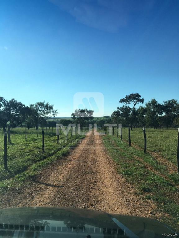 Chácara à venda com 1 quarto, 2500m² - Foto 4