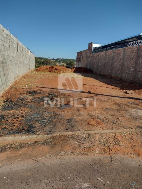 Terreno à venda com 1 quarto, 300m² - Foto 4