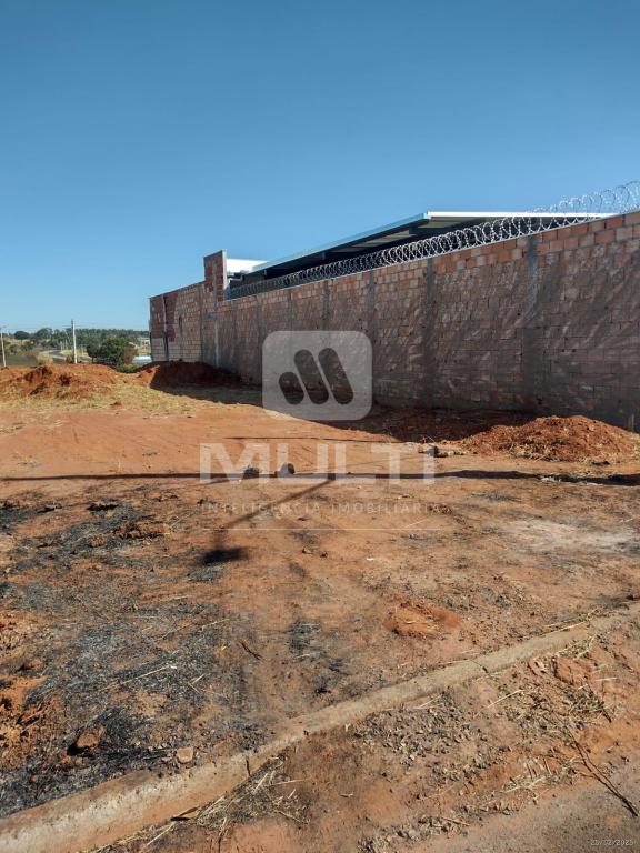 Terreno à venda com 1 quarto, 300m² - Foto 6