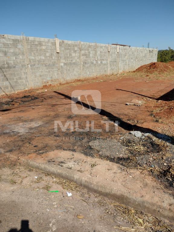 Terreno à venda com 1 quarto, 300m² - Foto 7