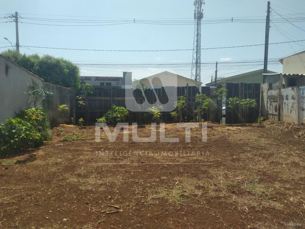 Terreno à venda com 1 quarto, 300m² - Foto 2