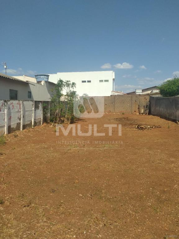 Terreno à venda com 1 quarto, 300m² - Foto 4