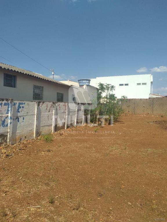 Terreno à venda com 1 quarto, 300m² - Foto 5