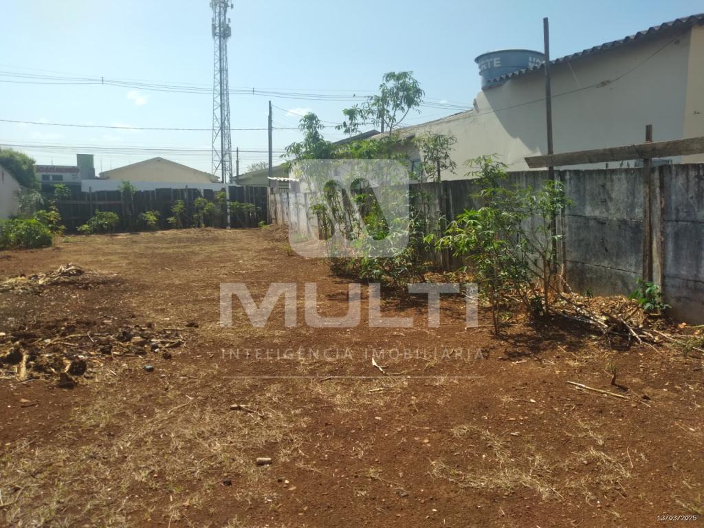 Terreno à venda com 1 quarto, 300m² - Foto 6