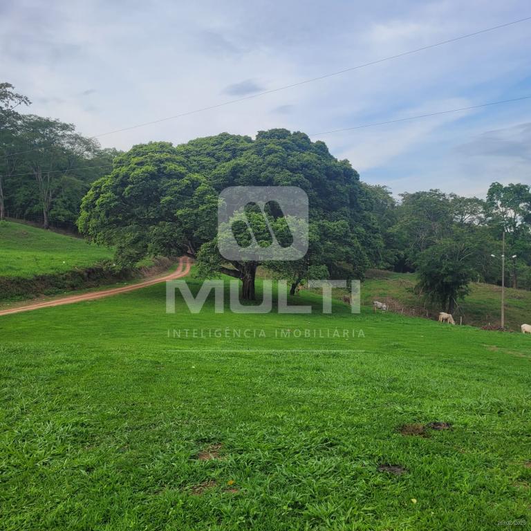 Casa à venda com 3 quartos, 200m² - Foto 4