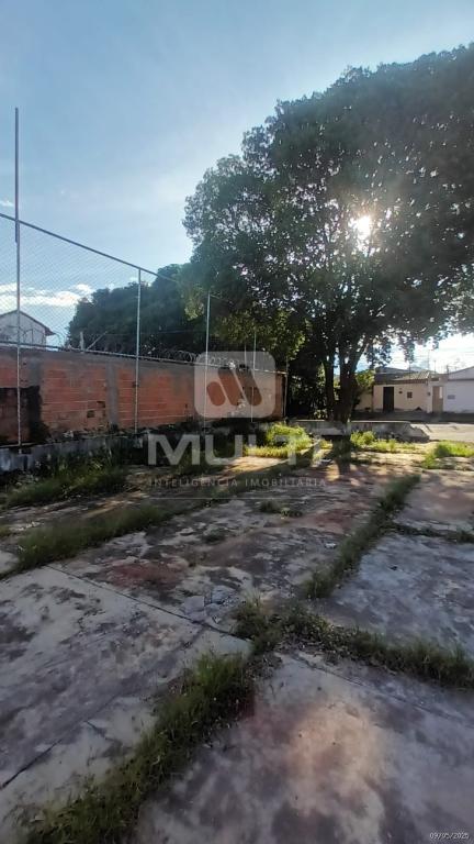 Loteamento e Condomínio à venda com 1 quarto, 1500m² - Foto 3