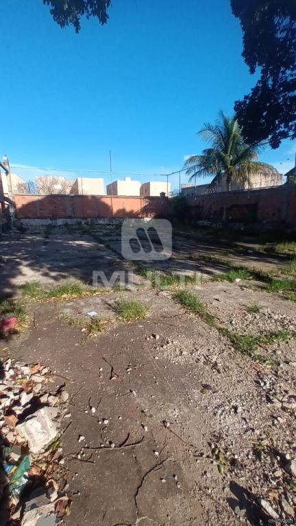 Loteamento e Condomínio à venda com 1 quarto, 1500m² - Foto 4