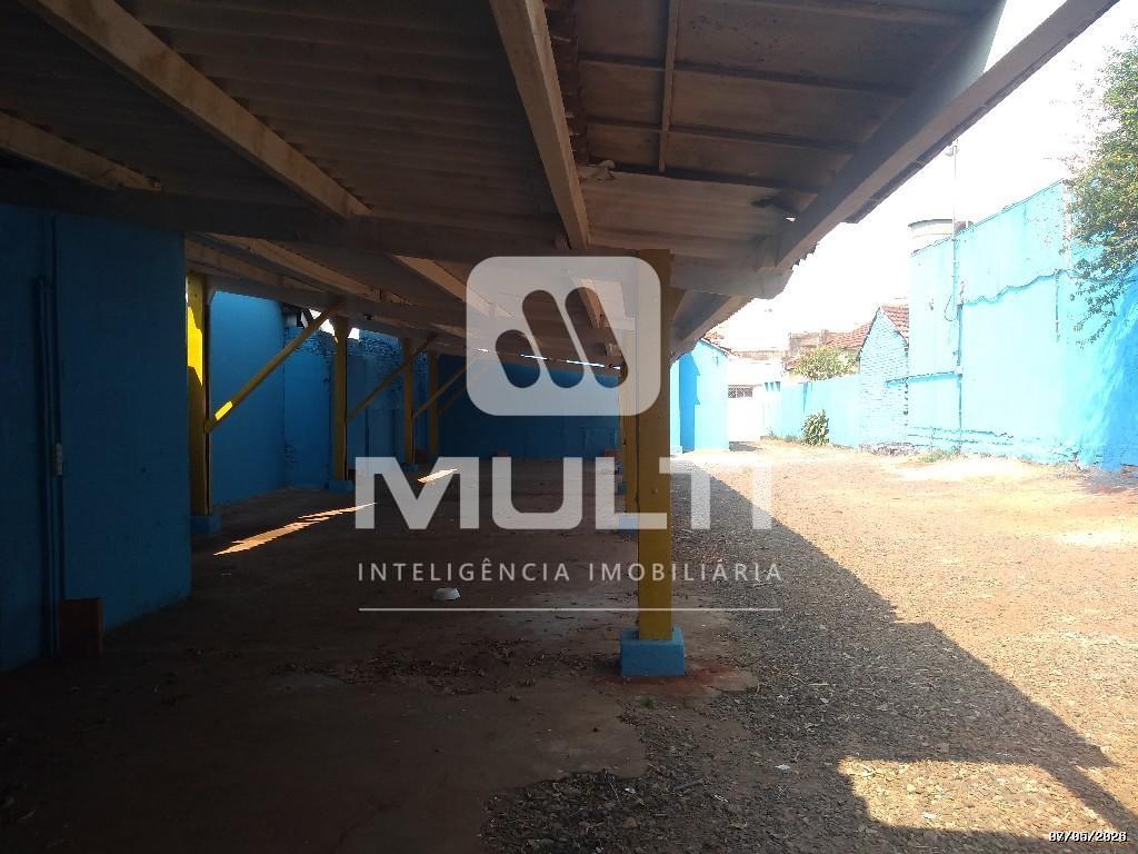 Casa, 5 quartos, 260 m² - Foto 16