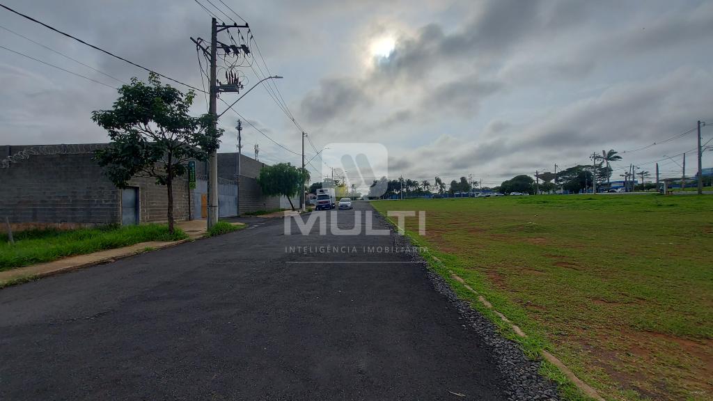 Terreno à venda com 1 quarto, 1000m² - Foto 2