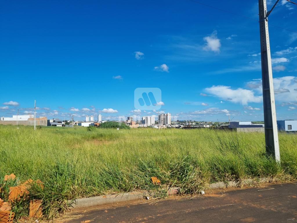 Terreno, 250 m² - Foto 11