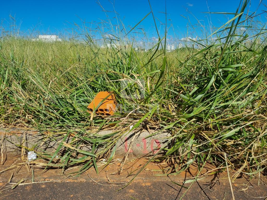 Terreno, 250 m² - Foto 13