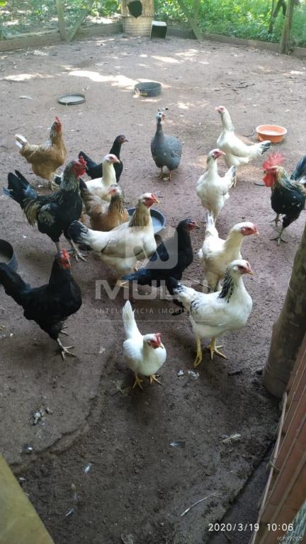 Chácara, 3 quartos - Foto 17