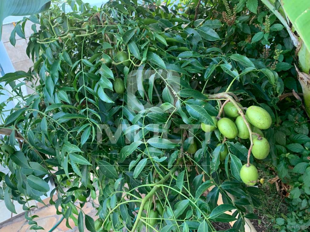 Casa, 4 quartos, 132 m² - Foto 18