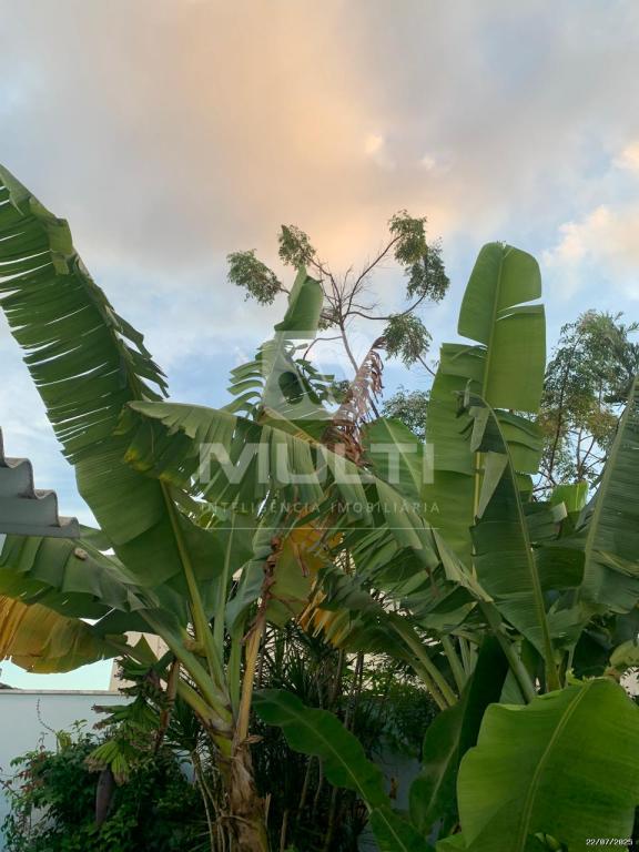 Casa, 4 quartos, 132 m² - Foto 21