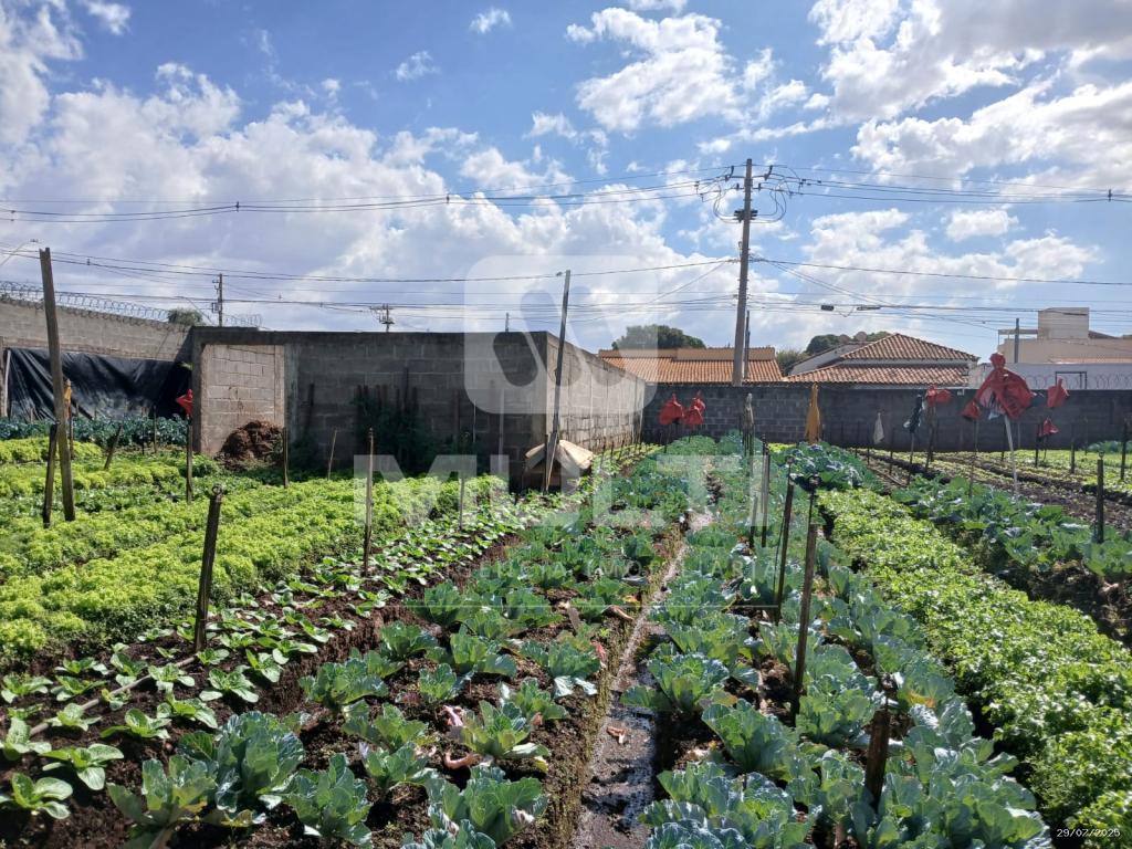 Terreno à venda com 1 quarto, 1m² - Foto 2