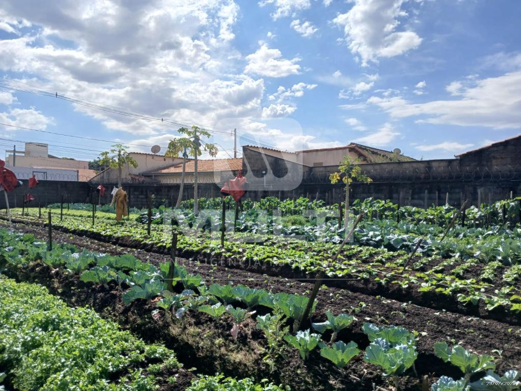 Terreno à venda com 1 quarto, 1m² - Foto 3