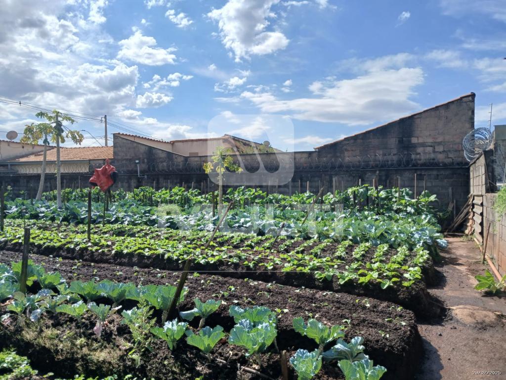 Terreno à venda com 1 quarto, 1m² - Foto 4