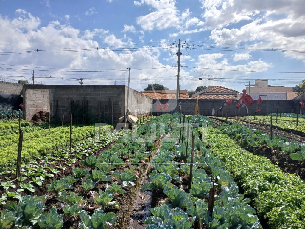 Terreno à venda com 1 quarto, 1m² - Foto 5