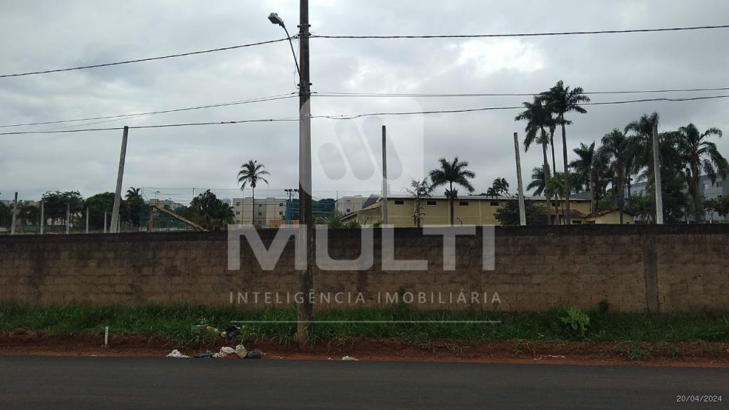 Loteamento e Condomínio - Foto 11