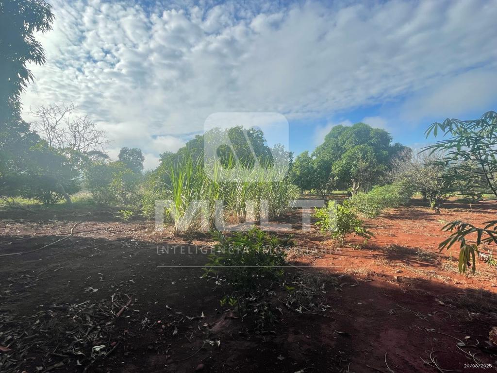 Chácara à venda com 1 quarto, 1m² - Foto 3