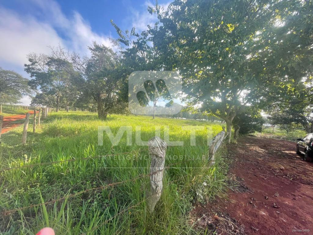 Chácara à venda com 1 quarto, 1m² - Foto 6