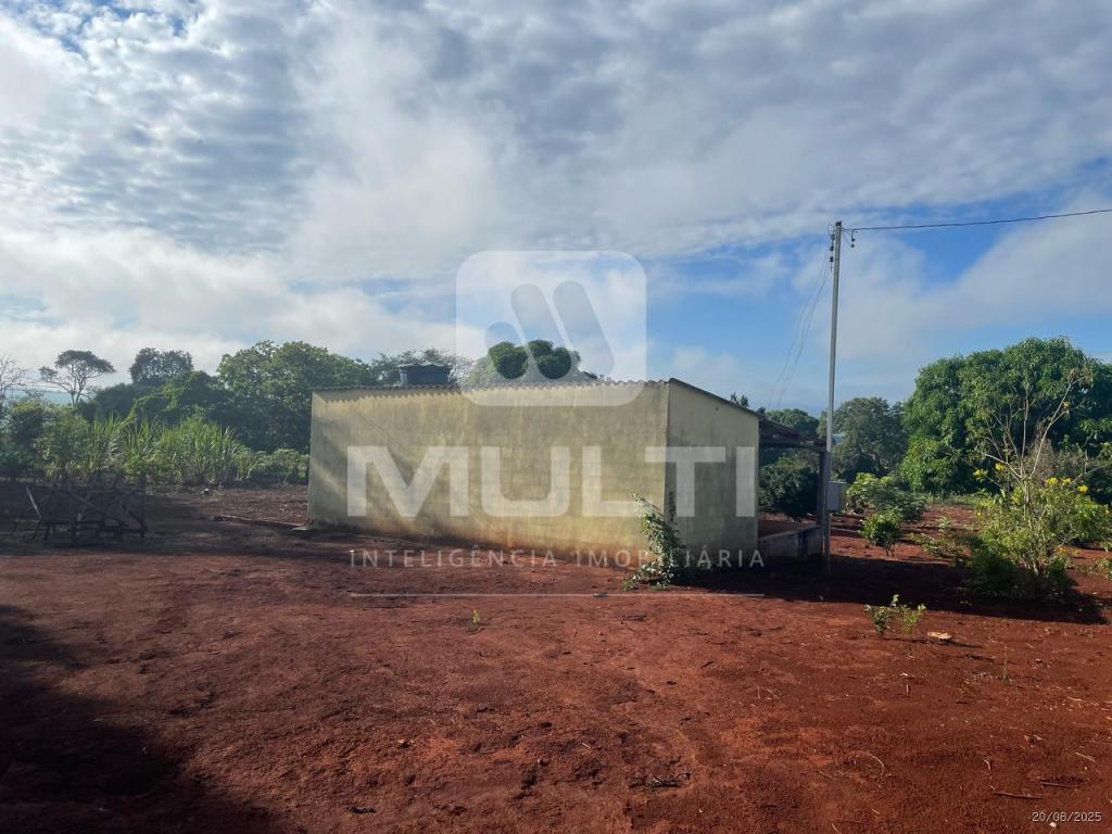 Chácara à venda com 1 quarto, 1m² - Foto 10