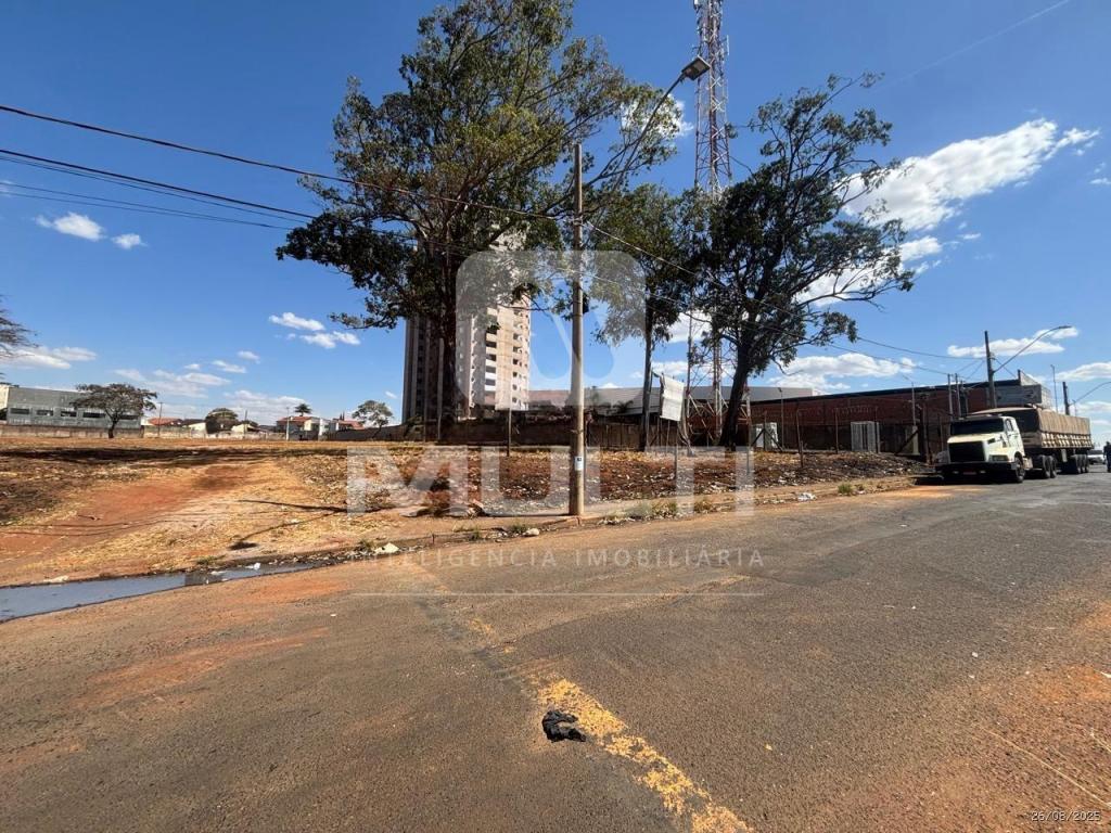 Loteamento e Condomínio - Foto 4