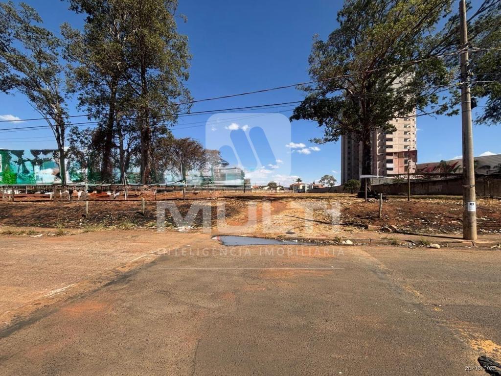 Loteamento e Condomínio - Foto 7