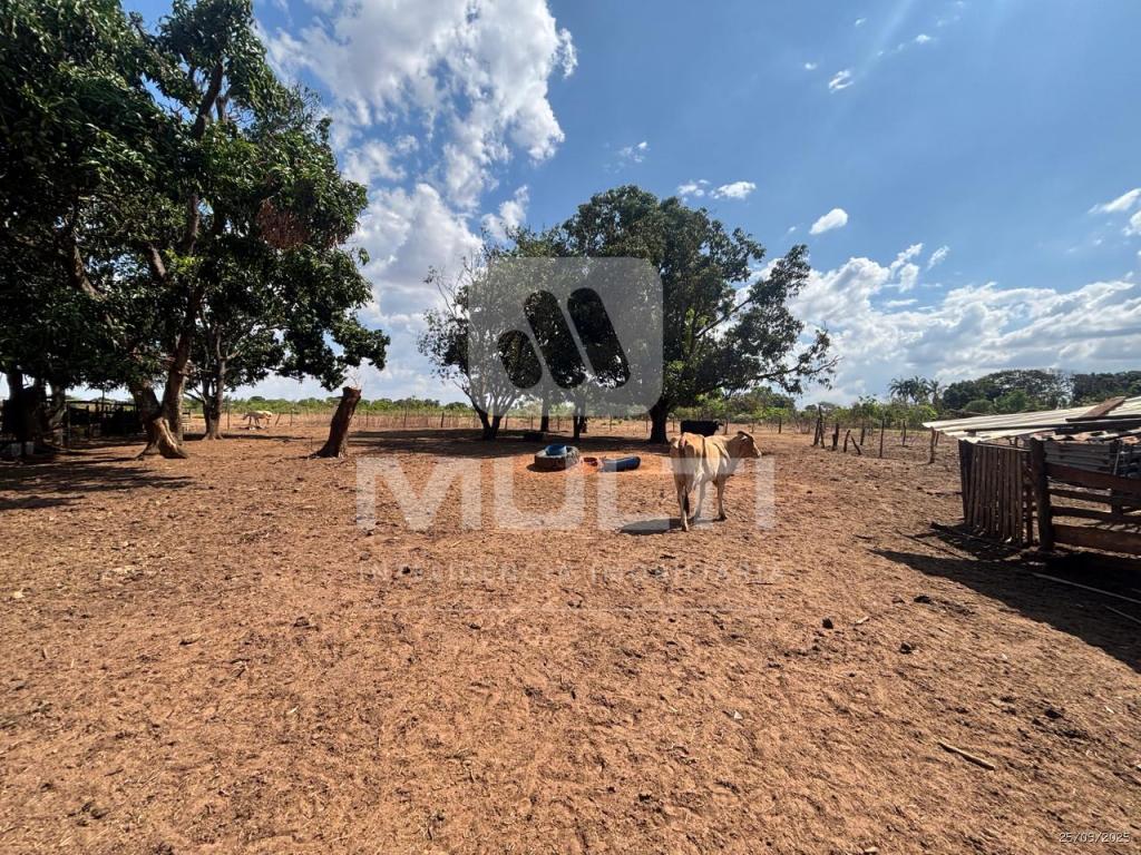 Chácara, 1 quarto - Foto 1