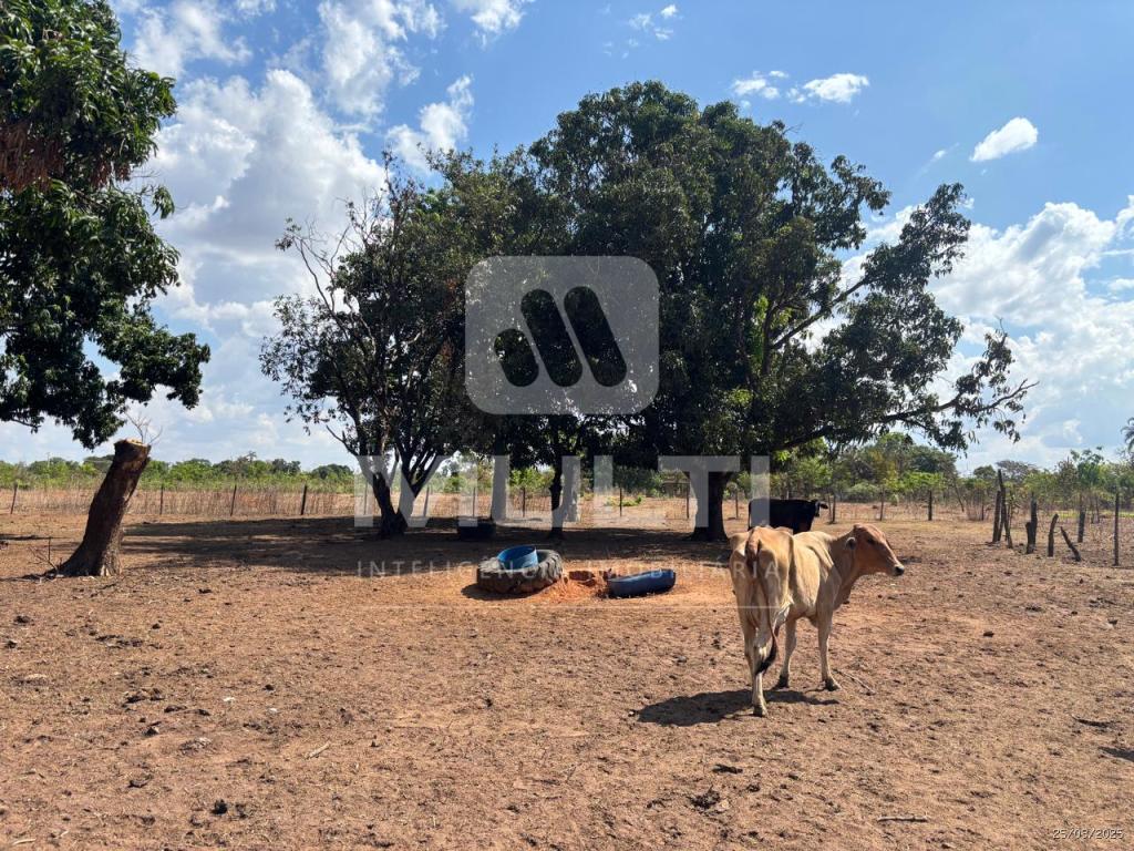 Chácara, 1 quarto - Foto 3