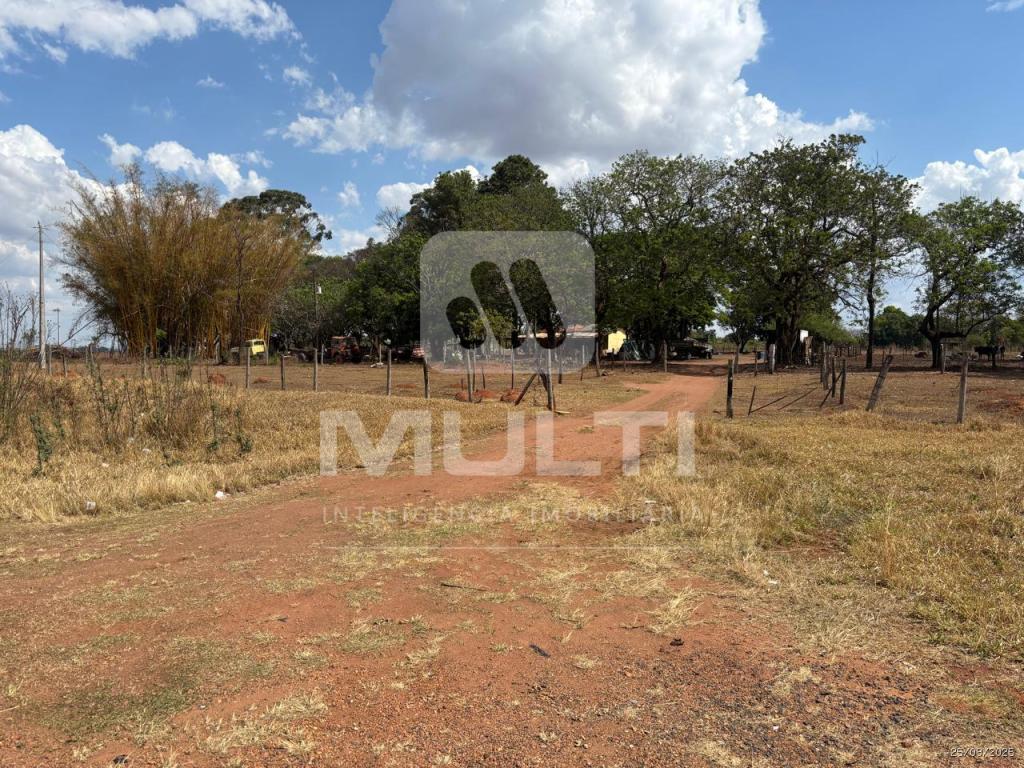 Chácara, 1 quarto - Foto 4