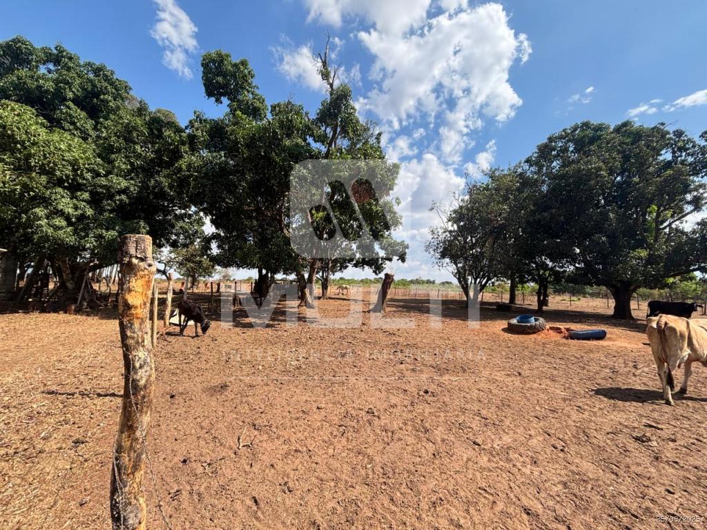 Chácara, 1 quarto - Foto 9