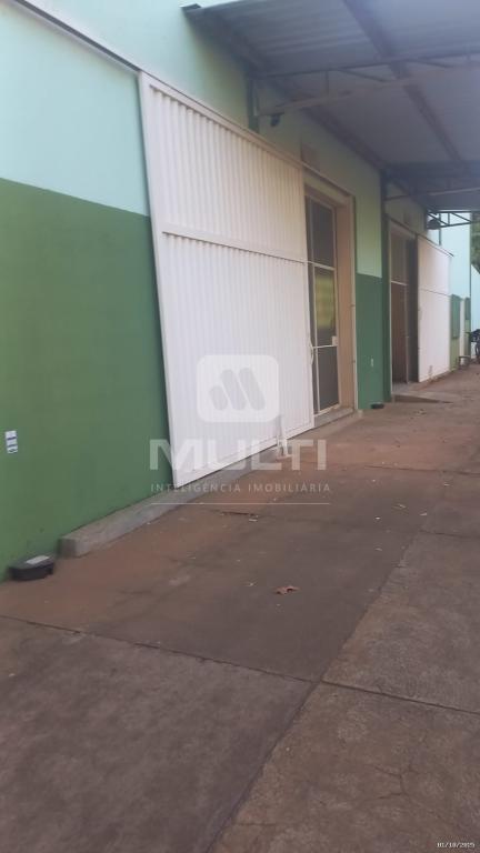 Casa, 1 quarto, 500 m² - Foto 2