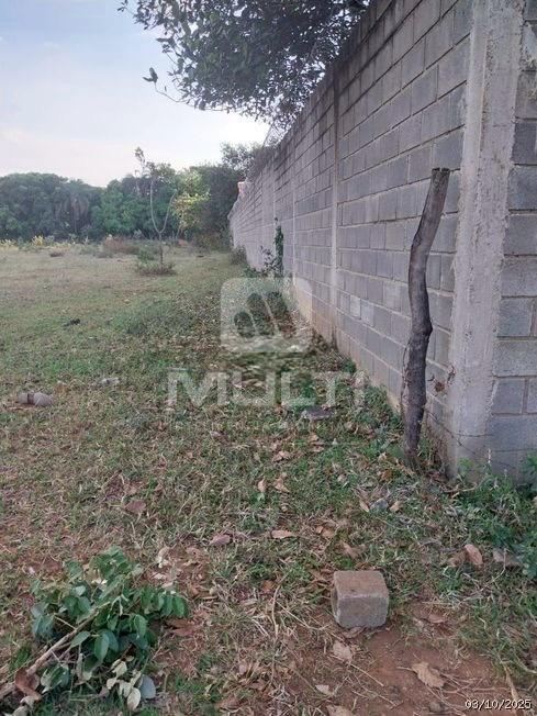 Chácara, 1 quarto - Foto 4