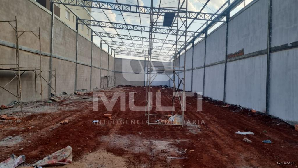 Casa, 1 quarto, 802 m² - Foto 4