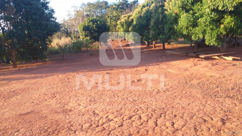 Chácara, 2 quartos - Foto 14