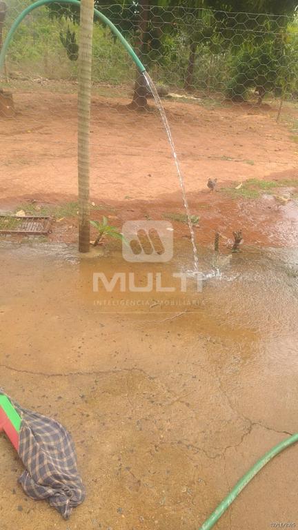 Chácara, 2 quartos - Foto 18