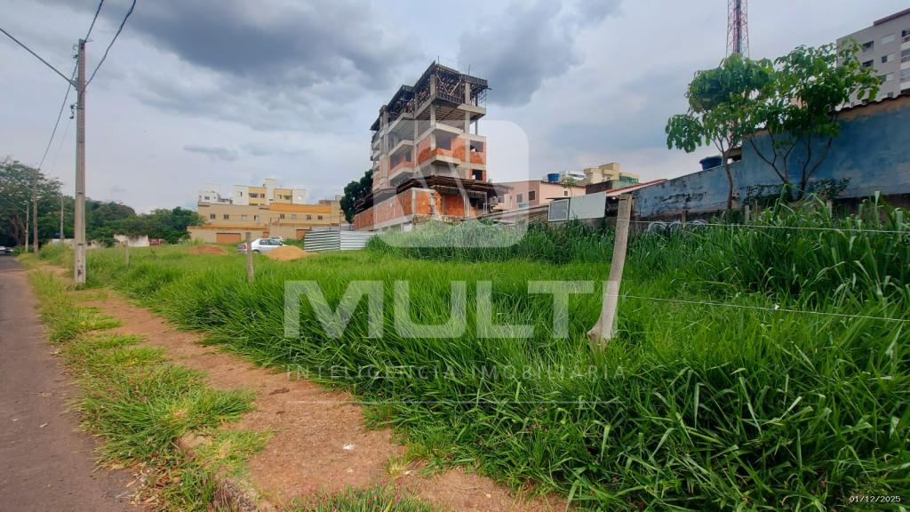 Loteamento e Condomínio - Foto 1