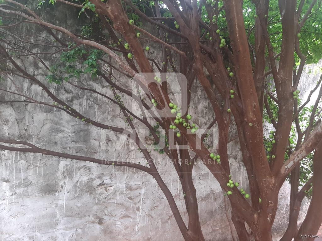 Casa, 3 quartos, 150 m² - Foto 4